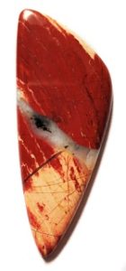 featured jasper red snakeskin