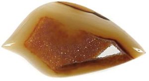 Piranha Agate Cabochon