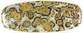 cab_jasper_leopardskin