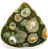 Rainforest Jasper Cabochon