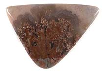 Cab1407 - Prudent Man Plume Agate Cabochon