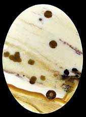 Polka Dot Jasper Cabochon