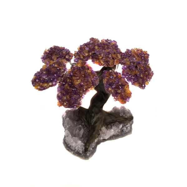 Amethyst Tree - 10 top