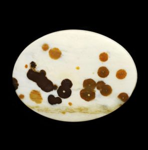 Cab76 - Polka Dot Jasper Cabochon