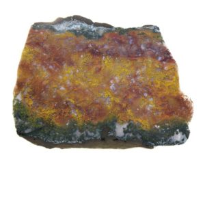 Maury Mountain Moss Agate Slabs from Oregon