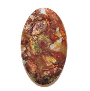 Marsten Ranch Jasper Cabochon