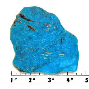 Slab2216 - Nacozari Turquoise Slab