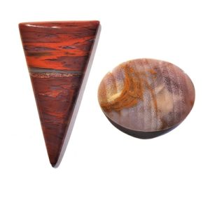 Petrified Wood Cabochons from an unknown location