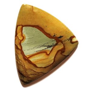 Cab2418 - Owyhee Jasper Cabochon