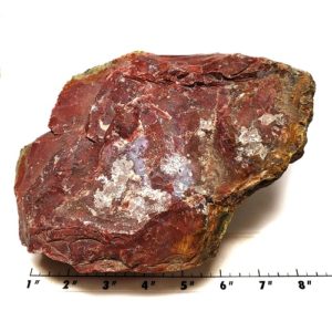 Red Bloody Basin Agate Rough #5