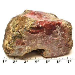 Red Bloody Basin Agate Rough #6