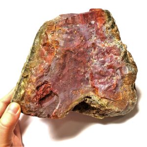 Red Bloody Basin Agate Rough #6