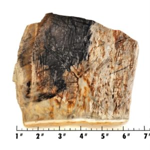 Slab75 - Picasso Marble slab