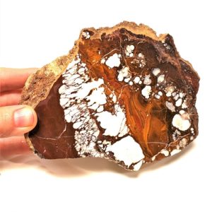 Wild Horse Magnesite Rough from Globe, Arizona - $28.50/lb