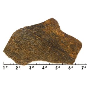 Slab1892 - Bronzite Slab