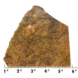 Slab1915 - Bronzite