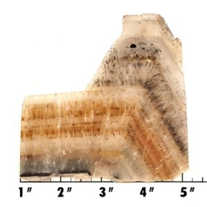 Slab636 - Cacoxenite in Quartz Slab