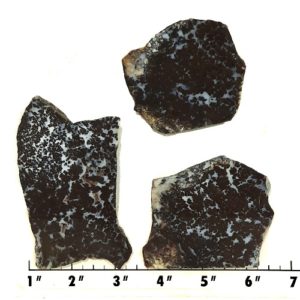 Slab1156 - Medicine Bow Plume Agate slabs