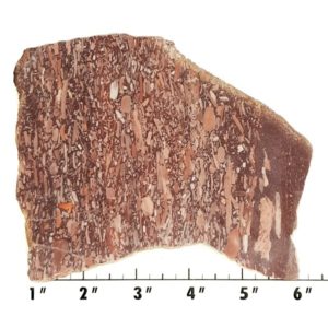 Slab2023 - Montana Bark Jasper slab