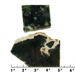 Slab63 - Green Moss Agate slabs