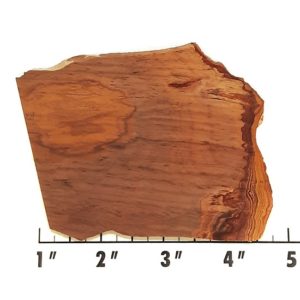 Slab1017 - Wonderstone Rhyolite Slab