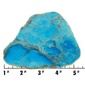 Slab1177 - Nacozari Turquoise slab