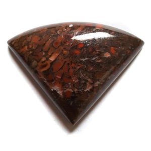 Cab2453 - Dinosaur Bone Cabochon