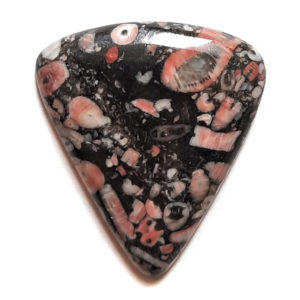 Cab621 - Crinoid Fossil Marble Cabochon