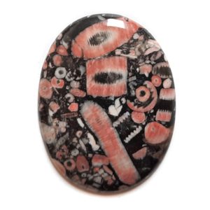 Cab695 - Crinoid Fossil Marble Cabochon