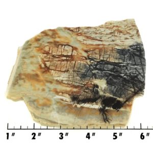 Slab160 - Picasso Marble slab