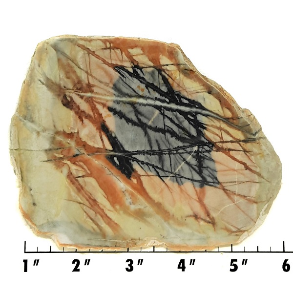 Slab1634 - Picasso Marble slab