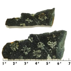 Slab471 - Flowerstone Slab