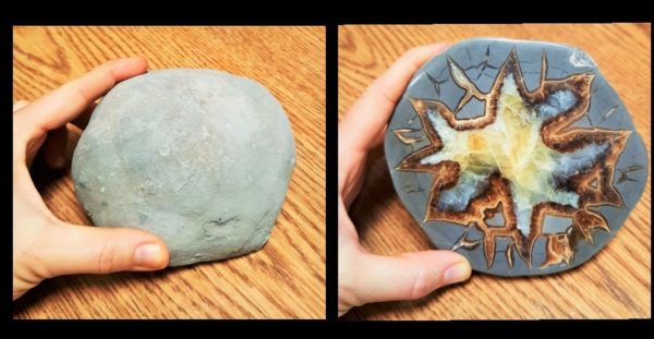 septarian nodule