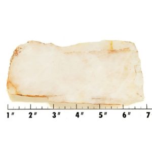 Slab583 - White Quartz slab