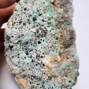 Sonoran Blue Natural Turquoise Rough #50