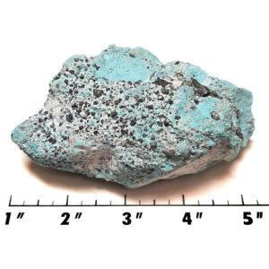Sonoran Blue Natural Turquoise Rough #51