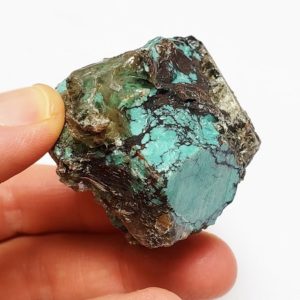 Stabilized Chinese Spiderweb Turquoise Rough #19