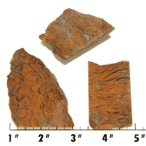 Slab969 - Clam Chowder Stone Slabs
