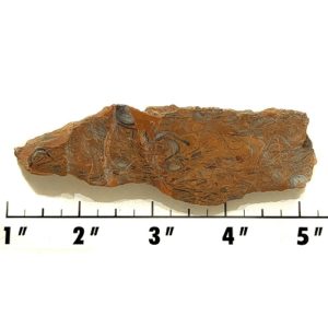 Slab972 - Clam Chowder Stone Slab