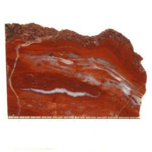 Vaquilla Agate Slabs from Mexico