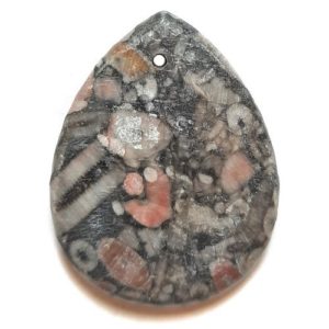 Pendant105 - Fossil Crinoid Marble Pendant