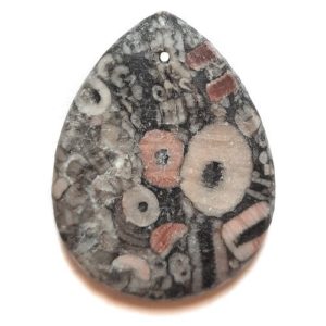 Pendant117 - Fossil Crinoid Marble Pendant