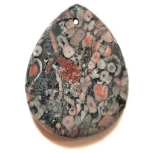 Pendant132 - Fossil Crinoid Marble Pendant