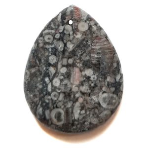 Pendant551 - Fossil Crinoid Marble Pendant