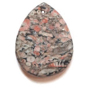 Pendant556 - Fossil Crinoid Marble Pendant