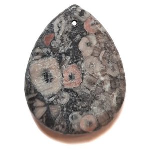 Pendant561 - Fossil Crinoid Marble Pendant