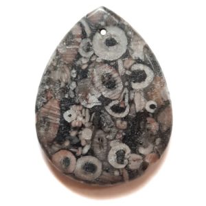 Pendant573 - Fossil Crinoid Marble Pendant