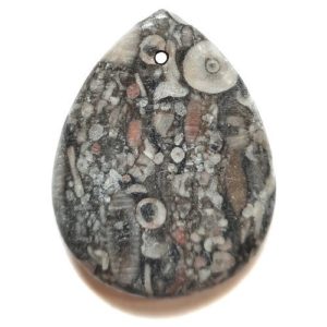 Pendant574 - Fossil Crinoid Marble Pendant