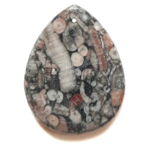 Pendant576 - Fossil Crinoid Marble Pendant