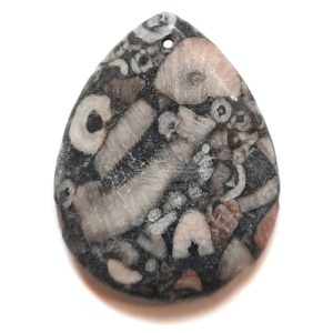 Pendant577 - Fossil Crinoid Marble Pendant